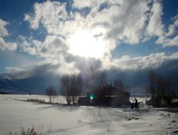 Beyaz çile yeniden vizyonda..